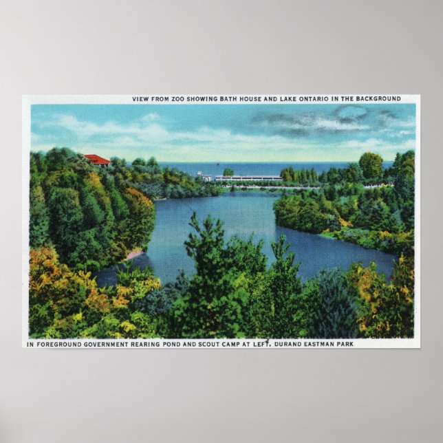 Sjö Ontario & Durand Eastman Park Poster (Framsidan)