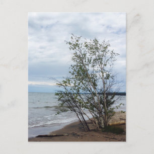 Sjö överordnat vykort