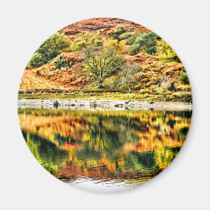 SJÖ REFLEKTIONER MAGNET