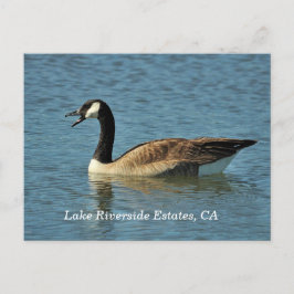 Sjö Riverside Gods, CA-vykort Vykort