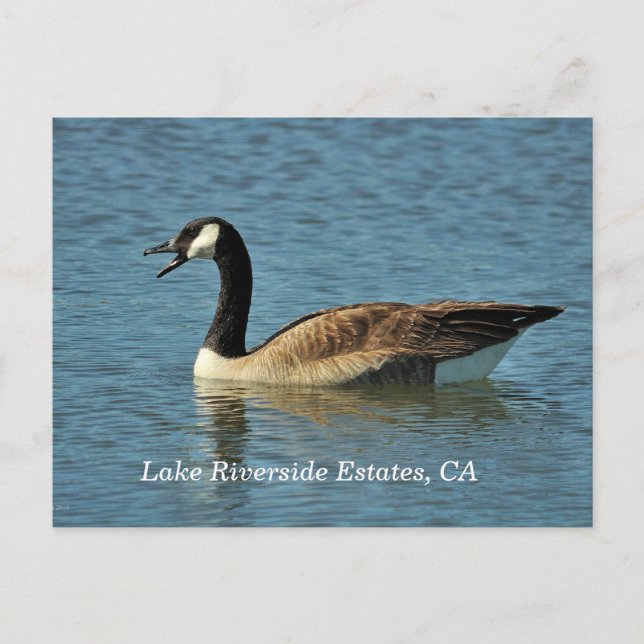 Sjö Riverside Gods, CA-vykort Vykort (Framsida)