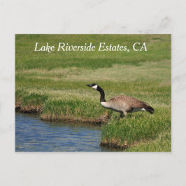 Sjö Riverside Gods, CA-vykort Vykort