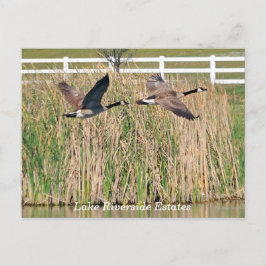 Sjö Riverside Gods vykort