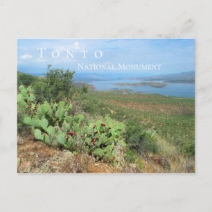 Sjö Roosevelt, Tonto National Monument, AZ Vykort