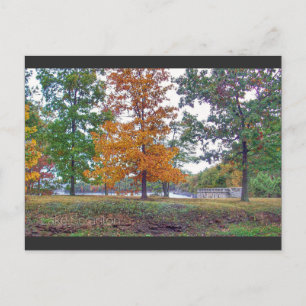 Sjö Scranton Postcard Scranton PA-hösten Vykort