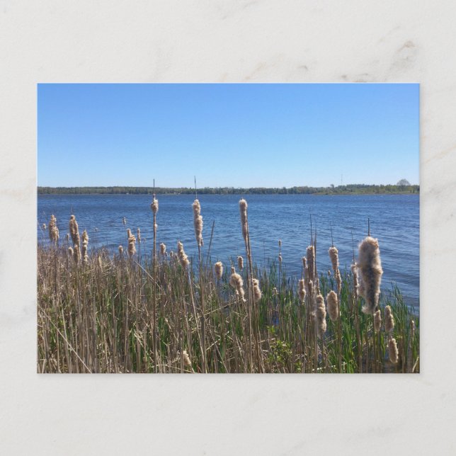 Sjö Simcoe Vykort (Framsida)