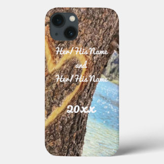 Sjö Tahoe Blue Vatten Träd Heart Kärlek