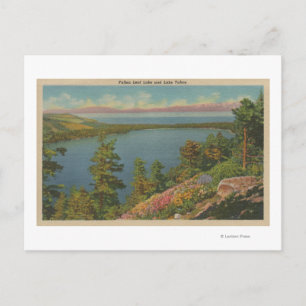 Sjö Tahoe, CA - Fallen Löv Sjö och Sjö Tahoe Vykort