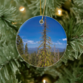 Sjö Tahoe Julgran Ornament