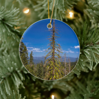 Sjö Tahoe Julgran Ornament