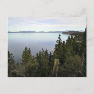 Sjö Tahoe med gräs träd Vykort