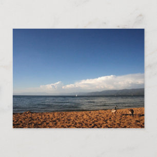 Sjö Tahoe Vykort