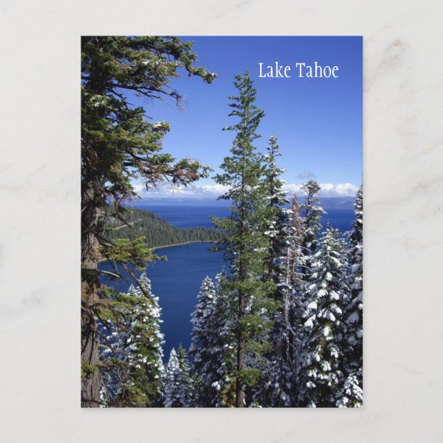 Sjö Tahoe-vykort Vykort (Framsida)