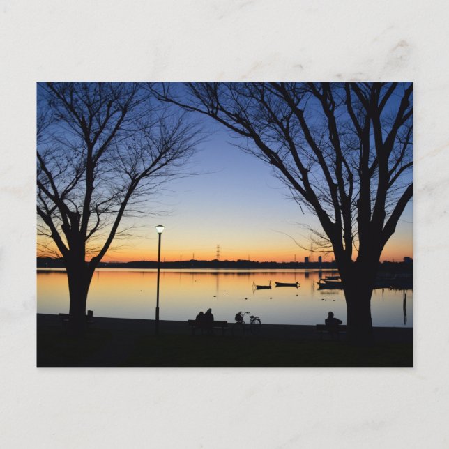 Sjö Teganuma: Chiba, Japan Vykort (Framsida)