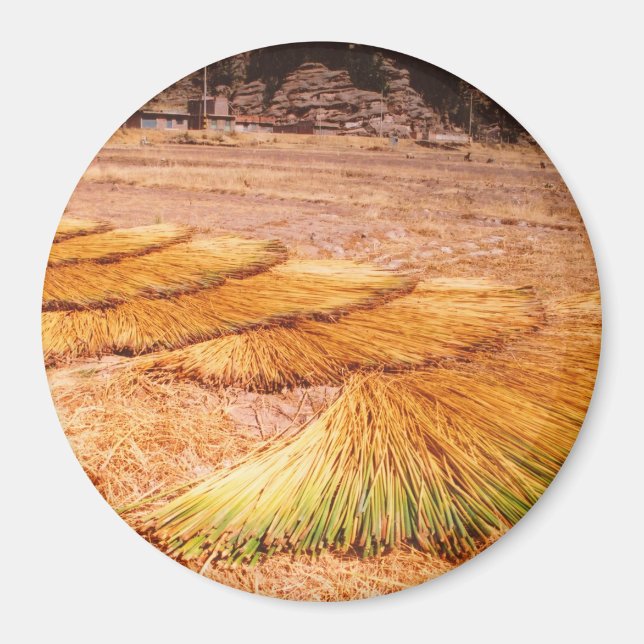 Sjö Titicaca Uros Reed Island Magnet (Framsidan)
