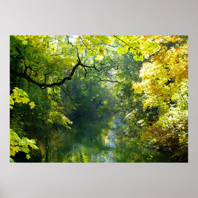 SJÖ & TRÄD POSTER (Framsidan)