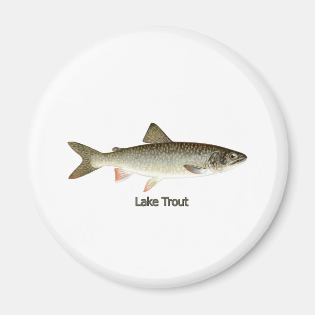 Sjö Trout Artwork Magnet (Framsidan)
