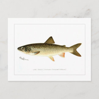 Sjö Trout Vykort