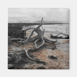 Sjö Tyrrell Natural Forces Magnet