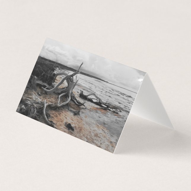 Sjö Tyrrell Naturstyrkor med infällt kort (Framsida)