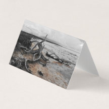 Sjö Tyrrell Naturstyrkor med infällt kort