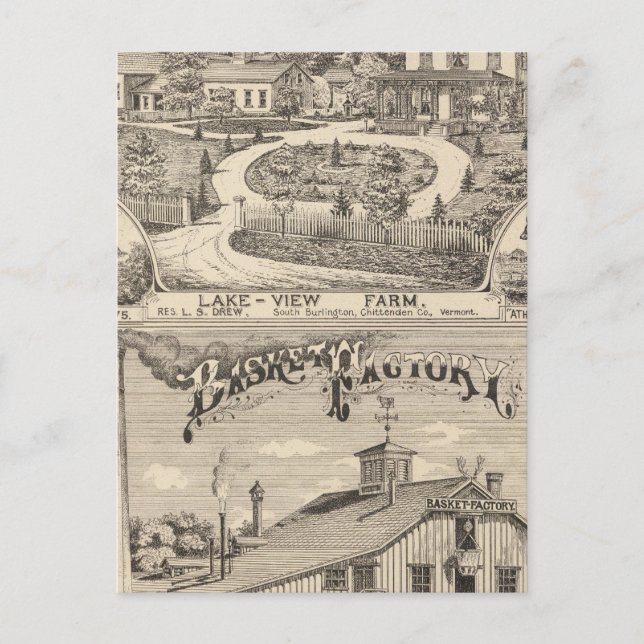 Sjö View Farm in South Burlington Vykort (Framsida)