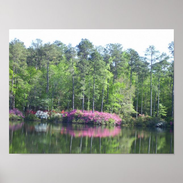 Sjö-vy Poster (Framsidan)