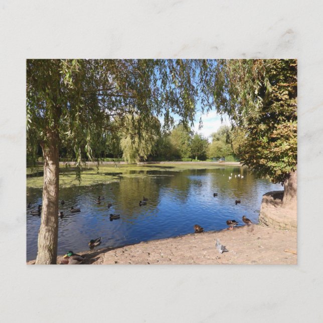 Sjö Vykort (Framsida)