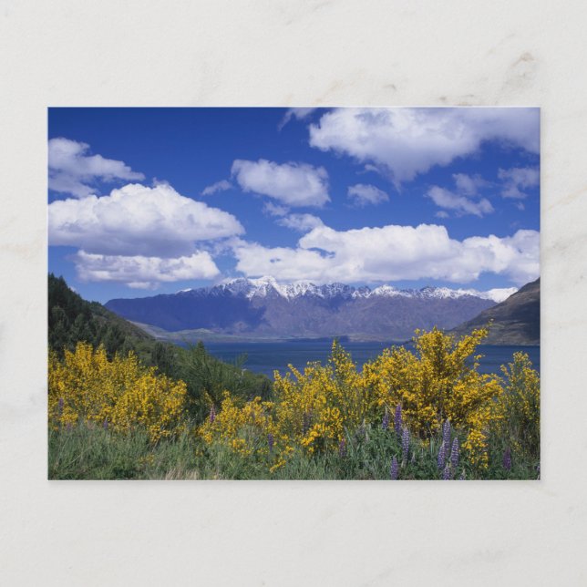 Sjö Wakatipu och Remarkables, Queenstown Vykort (Framsida)