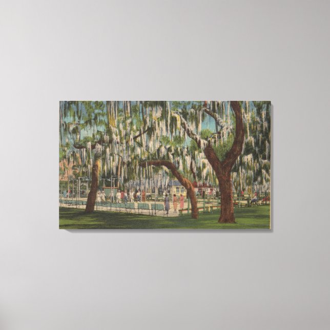 Sjö Wales, FL - Utomhusvy av Shuffleboard Canvastryck (Framsida)