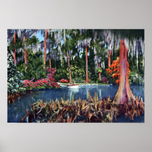 Sjö Wales Florida Cypress Swamp and Boat Poster