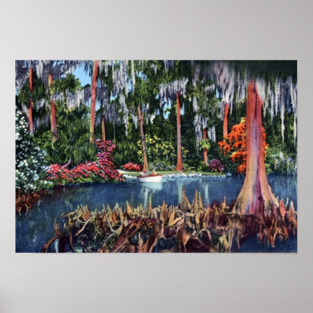 Sjö Wales Florida Cypress Swamp and Boat Poster (Framsidan)