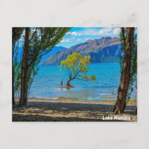 Sjö Wanaka Nya Zeeland Vykort