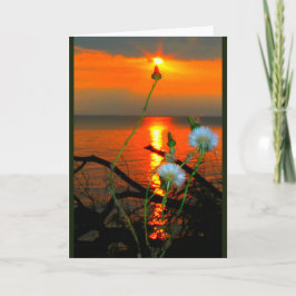 Sjö Wbollago Sunset any Tillfälle Card Kort