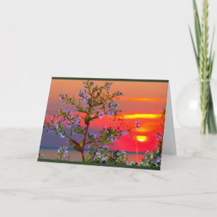 Sjö Wbollago Sunset tänker på dig Kort