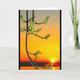 Sjö Wbollago Sunset tänker på dig Kort