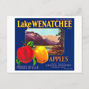 Sjö Wenatchee Apple Label (blå) - Cashmir, WA Vykort