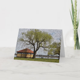 Sjö Wendouree Pavilion Ballarat Kort