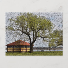 Sjö Wendouree Pavilion Ballarat Vykort