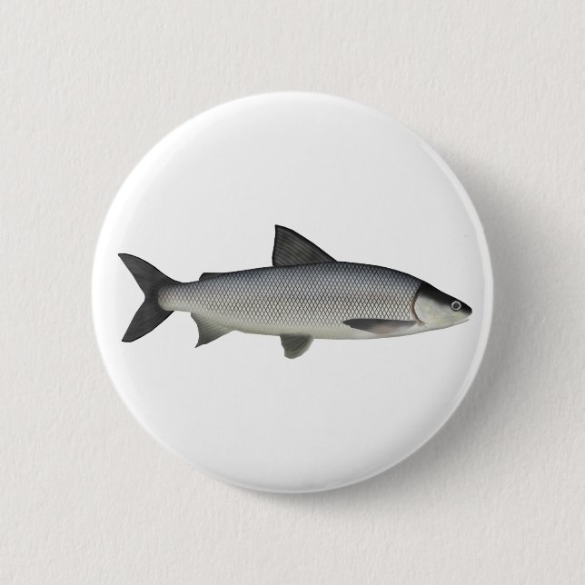 Sjö Whitefish Button Knapp (Framsida)