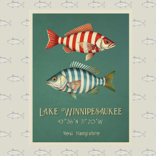 Sjö Winnipesaukee New Hampshire fish Postcard Vykort