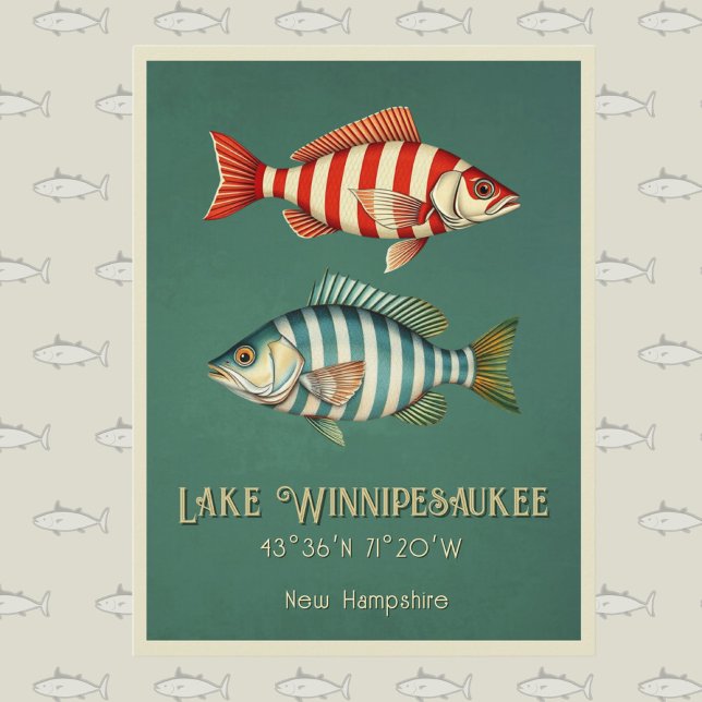 Sjö Winnipesaukee New Hampshire fish Postcard Vykort (Skapare uppladdad)