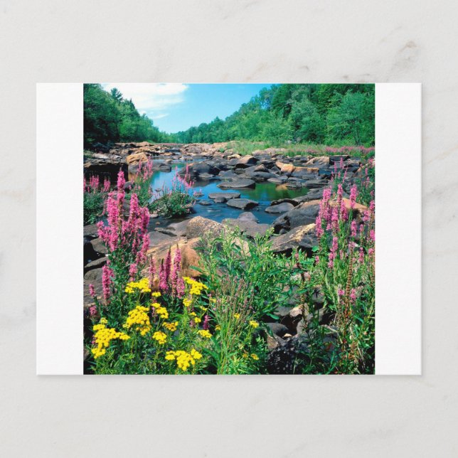 Sjö Wisconsin River Ice Age Reserve Wisconsin Vykort (Framsida)