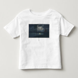 Sjö Yellowstone, WYView av sjön vid månsken T Shirt