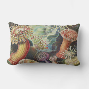 Sjöanemoner, Actiniae Seeanemonen Ernst Haeckel Lumbarkudde