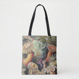 Sjöanemoner, Actiniae Seeanemonen Ernst Haeckel Tygkasse