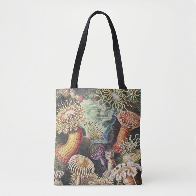 Sjöanemoner, Actiniae Seeanemonen Ernst Haeckel Tygkasse (Framsida)