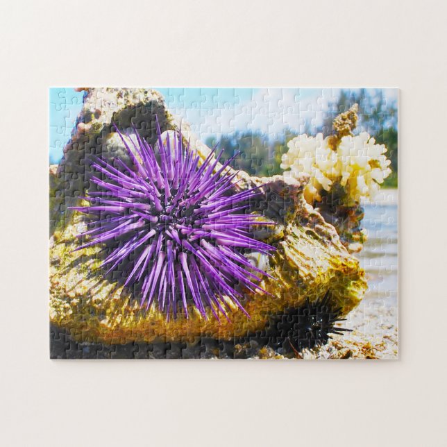 Sjöanemoner Pussel (Horisontell)