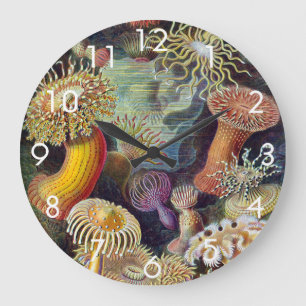 Sjöanemoner, Vintage Actiniae av Ernst Haeckel Stor Klocka