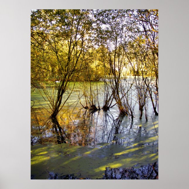 SJÖAR POSTER (Framsidan)